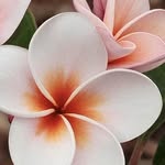 Nancy Witek - @nanwitek - Instagram