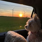 Nancy Bishop Wittman - Facebook