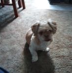 Nancy Wittman - Facebook