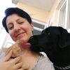 Nancy Wittman - @nancywittman1640 - TikTok
