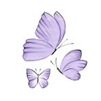 Nancy Awadi - Facebook
