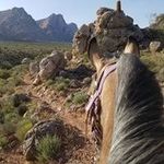 Nancy Womack - @womack.nancy - Instagram