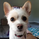 Nancy Woodside - @kivasmyangel - Instagram