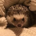 Nancy Worthley - Facebook