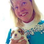 Nancy Wright - @nmw01742 - Instagram
