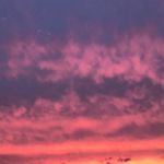 Nancy Wylie - @nancy_1.1.1 - Instagram
