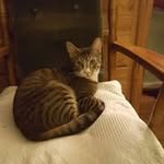 Nancy Jo Yarbrough - @yarbroughnancyjo - Instagram