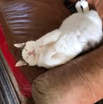 Nancy Yarbrough - Facebook
