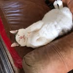 Nancy Yarbrough - @nancyyarbrough73 - Instagram