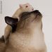 Nancy Yepez - Facebook