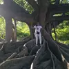 nancyyepez628 - @nancyyepez628 - TikTok