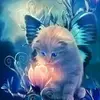 Midnite Blue - @nancyyoder18 - TikTok