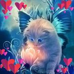 Nancy J. Yoder - @nancyyoder1433gmail.co - Instagram