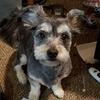 Nancy Zimmer746 - @littlerocketsmom - TikTok
