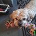 Nancy Zimmer - Facebook
