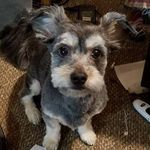 Nancy Zimmer - @njzimmer1982 - Instagram