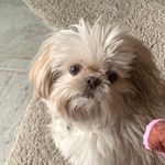 Nancy Zimmer Antonio - @nancyzimmerantonio - Instagram
