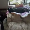 nancyzimmer393 - @nancyzimmer393 - TikTok