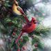 Nancy Bohrer Zirkle-Cookie - Facebook