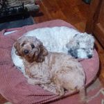 Nancy Zirkle - @zirklenancy - Instagram
