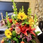 Nancy Zirkle - @zirkle_nancy - Instagram