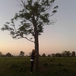 Nanci Zuber - @nancizuber - Instagram