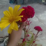 Nand Sharma - @nand.sharma.7927 - Instagram