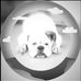 Nando Gonzalez - Facebook