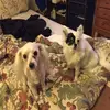 Nanette A Avery Solem - @techynana - TikTok