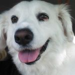 Nanette Boyd DeLyser - @nanettedelyser - Instagram
