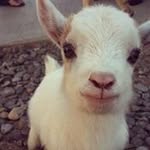 @nanette_coleman - Instagram