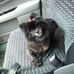 Nanette Costa - Facebook