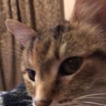 Nanette Daniel Beyer - @binarumpco - Instagram