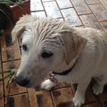 Nanette Davidson - @nanettedavidson1 - Instagram
