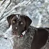 Nanette Davis475 - @nanettedavis475 - TikTok