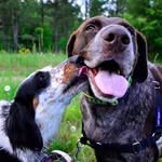 Nanette Davis - @nanettedavis45 - Instagram