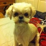 Nanette Dean - @dean_nanette - Instagram