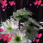 Nanette Dialino - Facebook