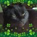 Nanette Erickson - Facebook