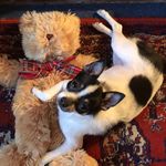 Nanette Evans - @nanettevans - Instagram