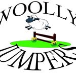NANETTE EVANS - @woollyjumpersshop - Instagram
