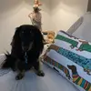 Anne Flickinger - @anneflickinger - TikTok
