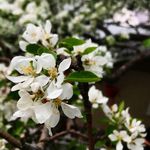 Ford Photography - @nanette_ford2002 - Instagram