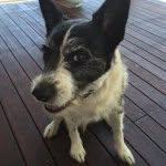 Nanette Franklin Hart - @nanettefranklinhart - Instagram