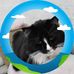 Nanette Gilbert - Facebook