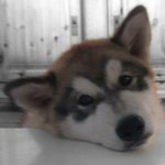 Nanette - @nanettezbjhebert - Instagram