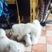 Nanette Hodges - Facebook