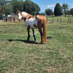 Nanette Long - @nanette.long1 - Instagram