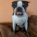 Nanette Meyer - @nanette.meyer - Instagram