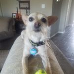 nanette moore - @nanette971 - Instagram